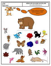 okul öncesi renkler çalışma sayfaları; verilen resimle aynı renkte olan resimleri işaretle